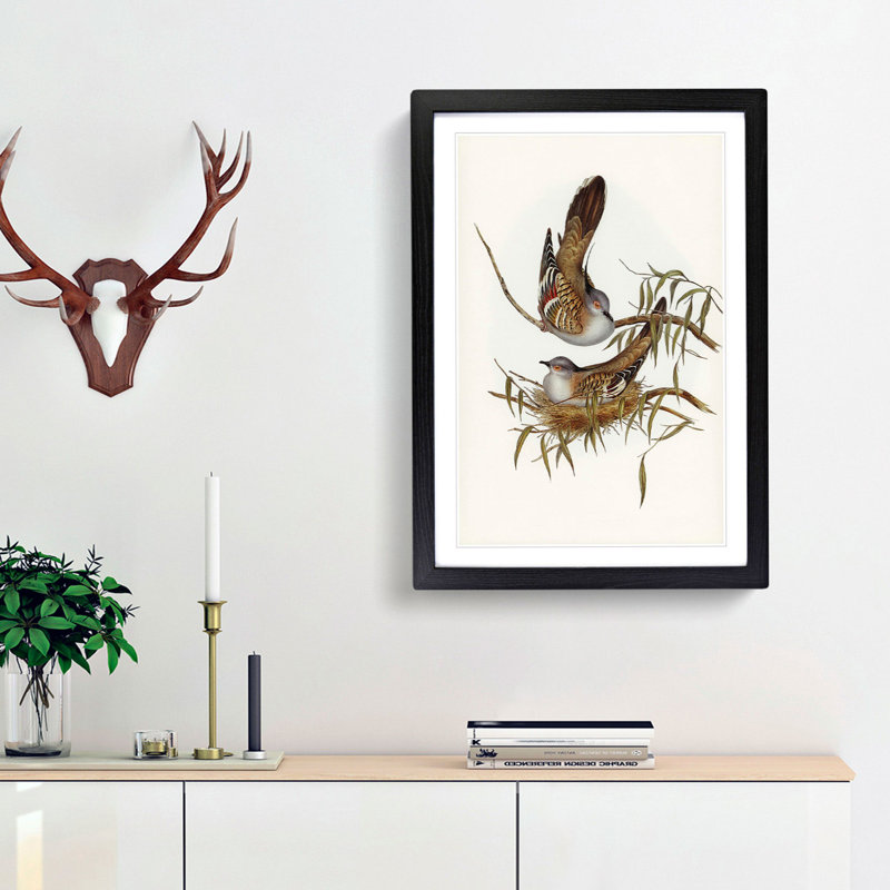 Crested Pigeons by Elizabeth Gould - Framed Print, Black Framed, 36cm H x 27cm W x 2cm D