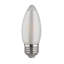 2 Watt LED Bulb