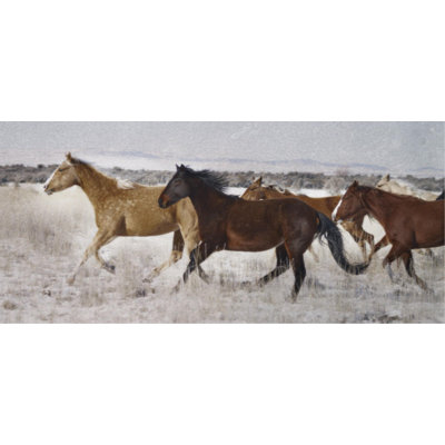 Mares On Promontory Print by Chris Dunker