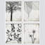 «Black and White Forest Tree Leaf Dandelion», reproduction imprimée sur papier, 4 pièces-97782180-97782183