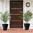 Artificial Areca Palm