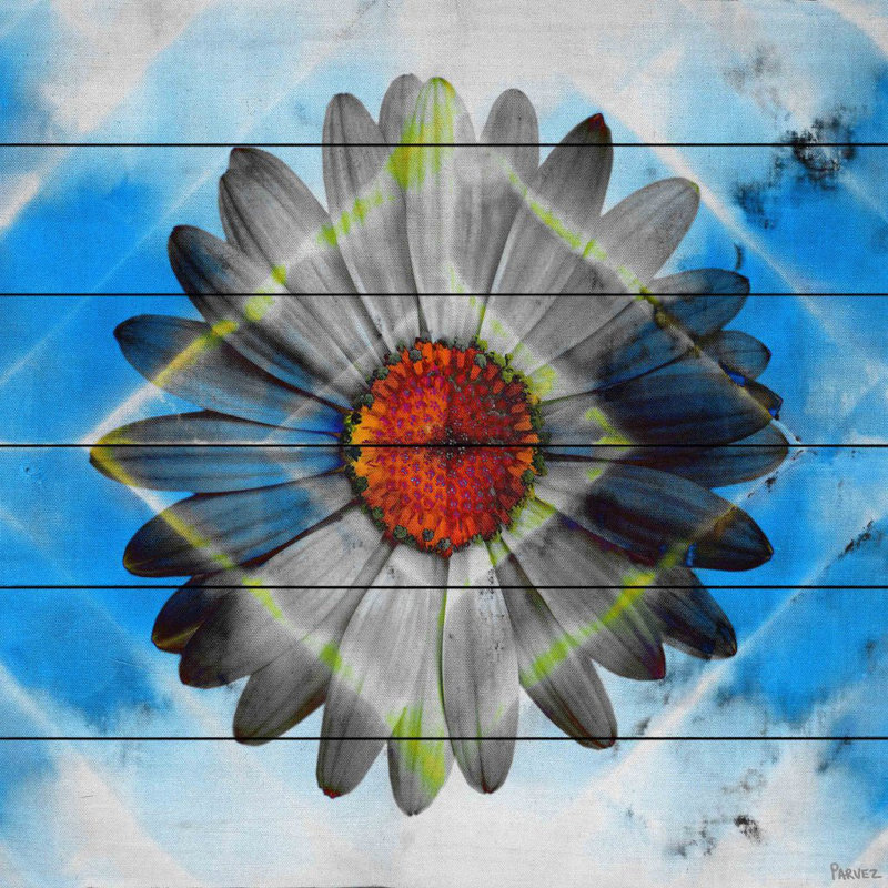 Parvez Taj - No Frame Print on Wood, 61cm H x 61cm W