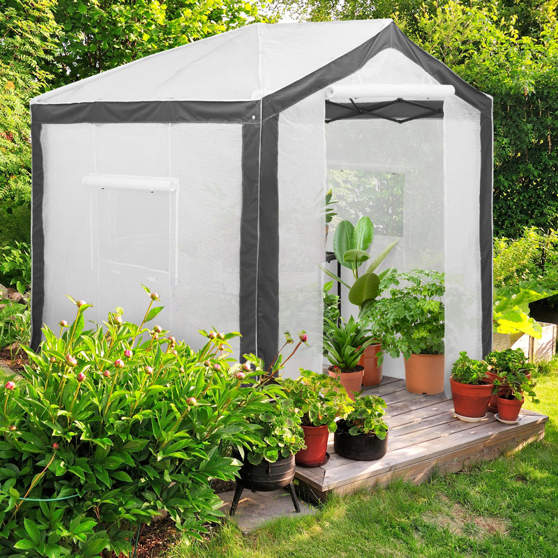 Pop Up Greenhouses 8 Ft. W x 8 Ft. D Greenhouse, White/Gray