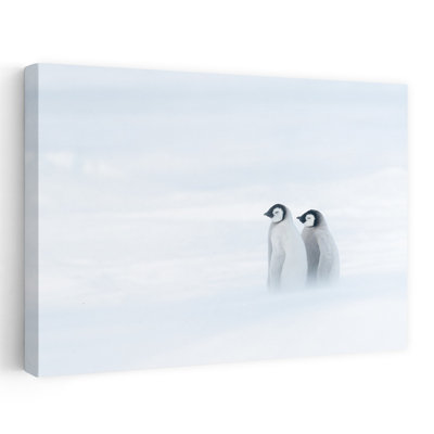 Poussins de manchots empereurs - Paysage de manchots minimaliste, paisible et serein - Affiche murale nature