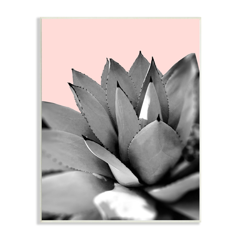 Unframed Photograph on MDF, Wood, 15" H x 10" W x 0.5" D