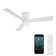 Axis 3 - Blade Outdoor Smart Flush Mount Ceiling Fan with Remote Control and LED Light Kit Included, Works With Alexa and iOS / Android App