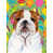 Bulldog (brun clair et blanc) sélectionné