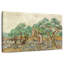 Senne The Olive Orchard-107719566