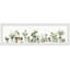 «Potted Green Succulents», reproduction encadrée-1056176867