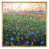 Gold Floater Framed Canvas