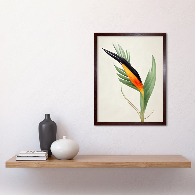 Tropical Bird Of Paradise Flower - Print, Brown Framed Paper, 43cm H x 33cm W x 2cm D