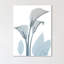 Serene Calla Lilly - Wrapped Canvas Print-1566831253