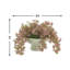 Organic Modern Weeping Laurel