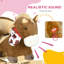 EvoNet Toy