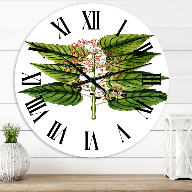 Vintage Plant Life XXVI - Horloge murale traditionnelle, Surdimensionné
