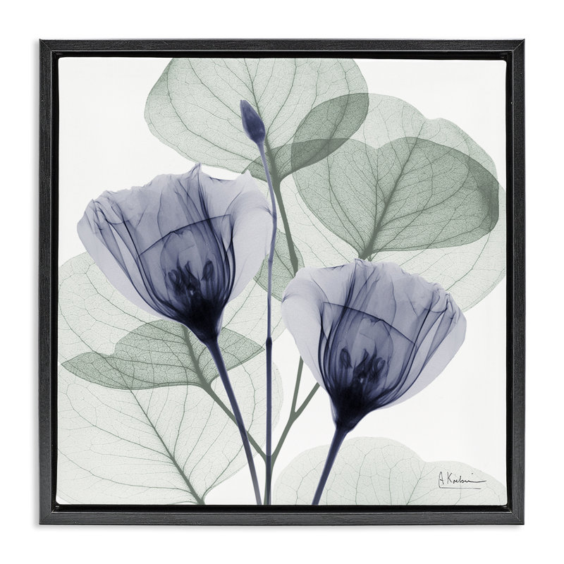 Cadre flottant contemporain en bois d'eucalyptus et d'herbes, design par Albert Koetsier, Cadre flottant noir de jais