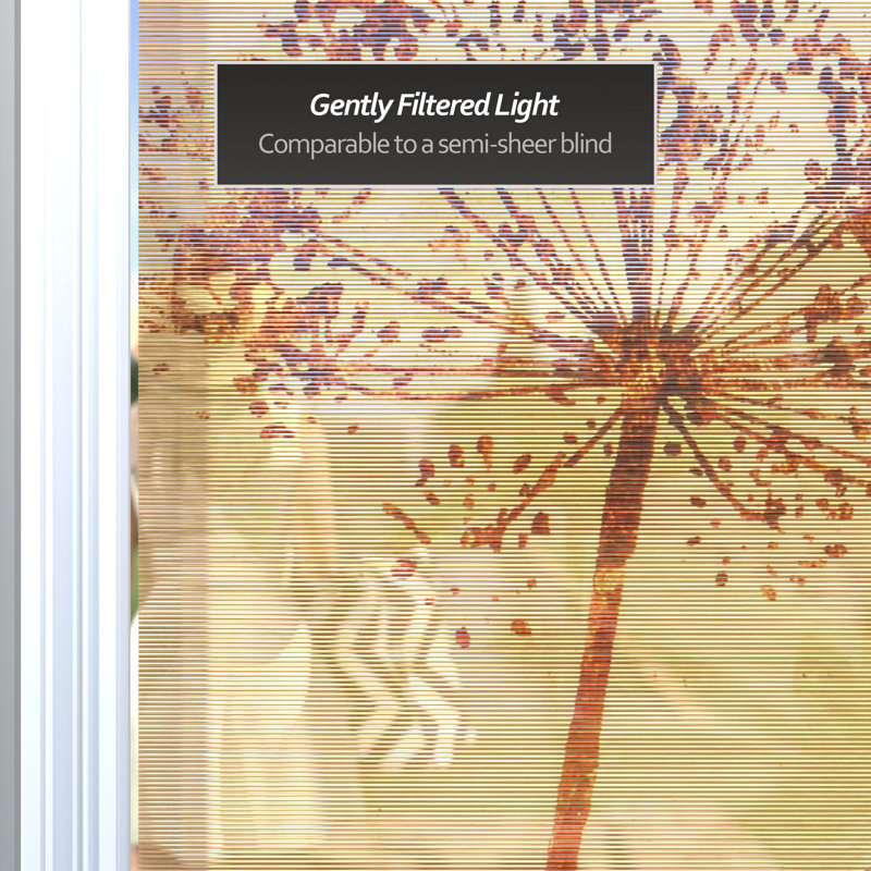 Bamboo Window Shade Blind - Dragonfly 36" W, 72"W x 72"L