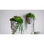 Vase de table en ciment Montague