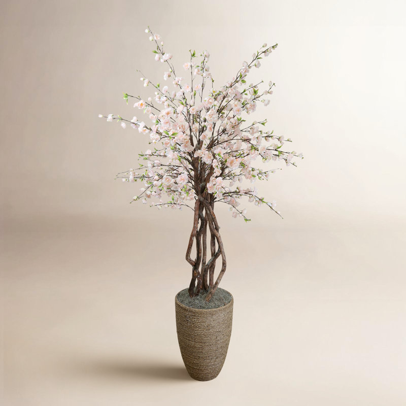 Fleur de cerisier et arbre en bois dragon dans un pot en corde