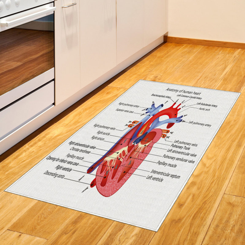 Science High Density Long Fiber Poly Threads Decorative Area Rug Carpet, Rectangle 2'7" x 5'