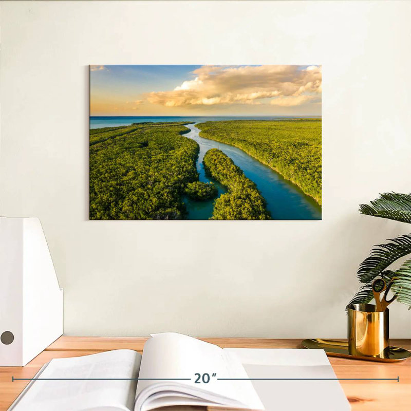 Parc national des Everglades d'Alvord, H 8 po x l 12 po