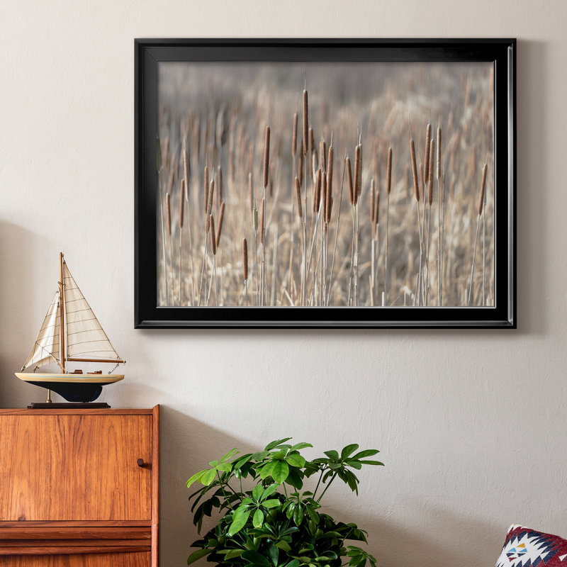 Summer Tails - Photographie avec cadre photo, Black Framed Canvas, H 22,5 po x l 30,5 po x P 1,5 po