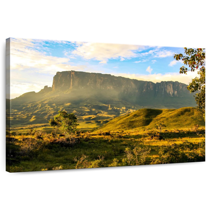 Alvord tôt le matin à Kukenan Tepui, H 24 po x l 36 po