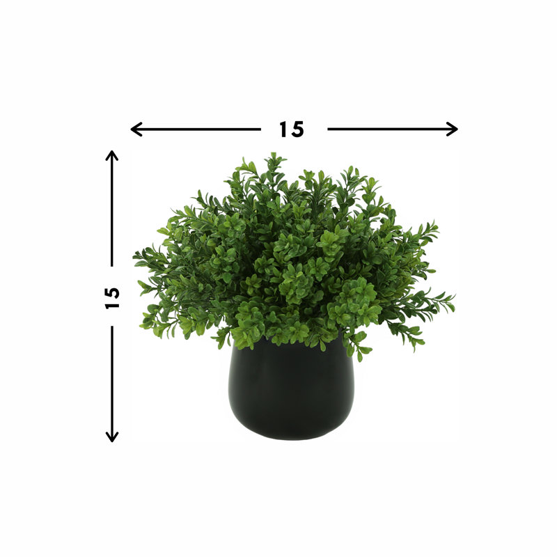 Faux Boxwood Plant in Glass Vase