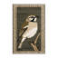 Tapis lavable en mousseline-76057090