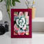 Pastel Succulent Beauty V, reproduction d'art sur papier-638222768-638222769
