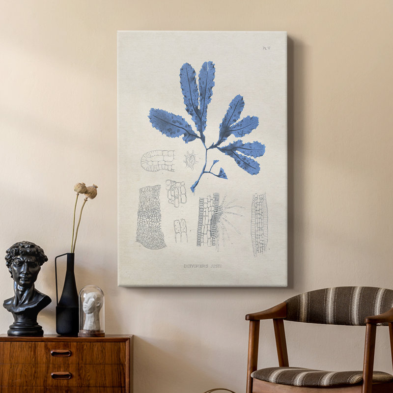 Blue Marine Algae VII - Gallery Cavas, H 12 po x l 8 po