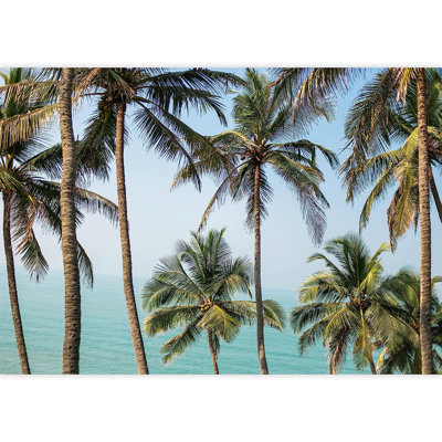 Vibrant Tropical Palm Tree Ocean Horizon Paintable Wall Mural