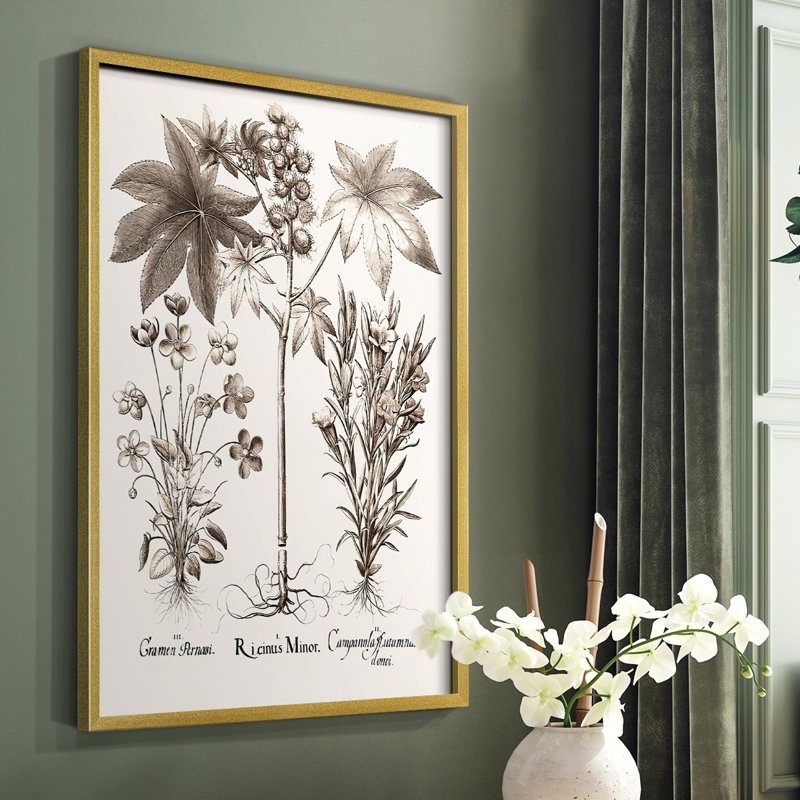 Sépia Besler Botanicals VI, reproduction encadrée - bois massif, H 10 po x l 8 po