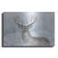 Art mural en métal Winston Porter «Whitetail Winter Wonderland» par Gordon Semmens-1800370071