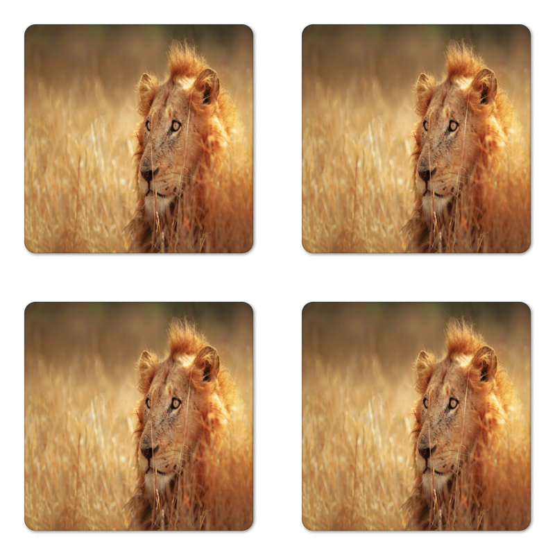 Sous-verre faune sauvage