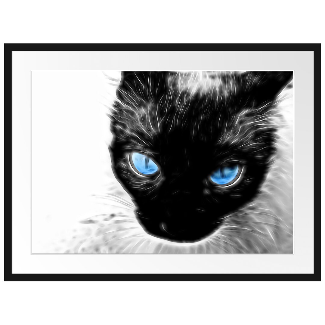 Gerahmtes Poster Blaue Augen Schwarze Katze New Art