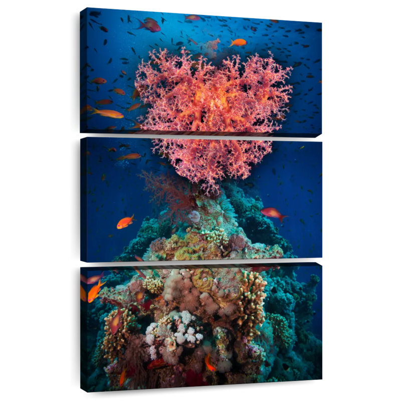 Cœur de corail Brampt