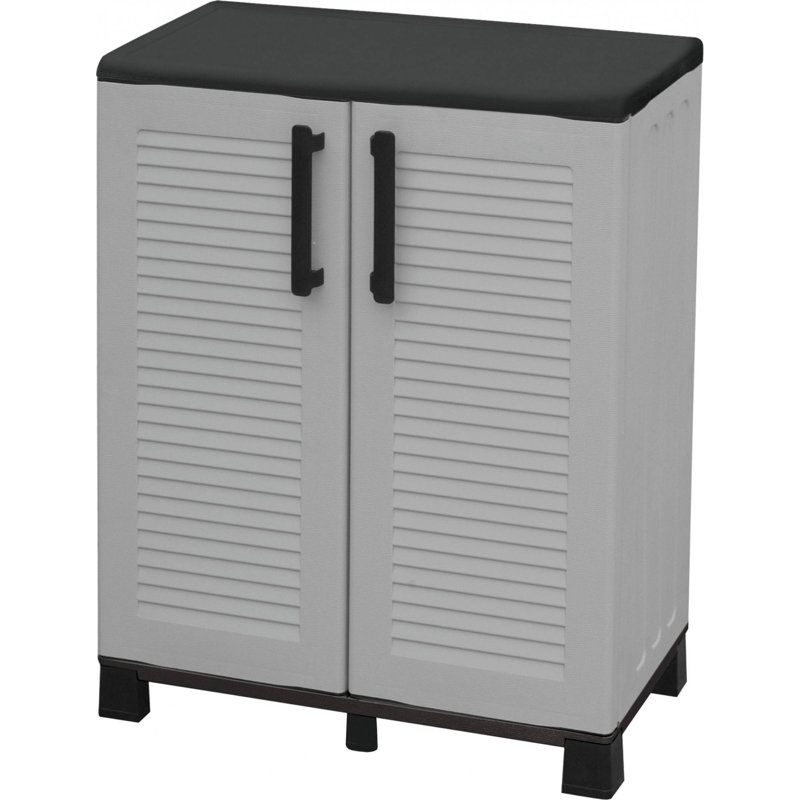 Acoff Plastic 2 -Door Accent Cabinet