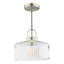 1 - Light Satin Nickel Pendant