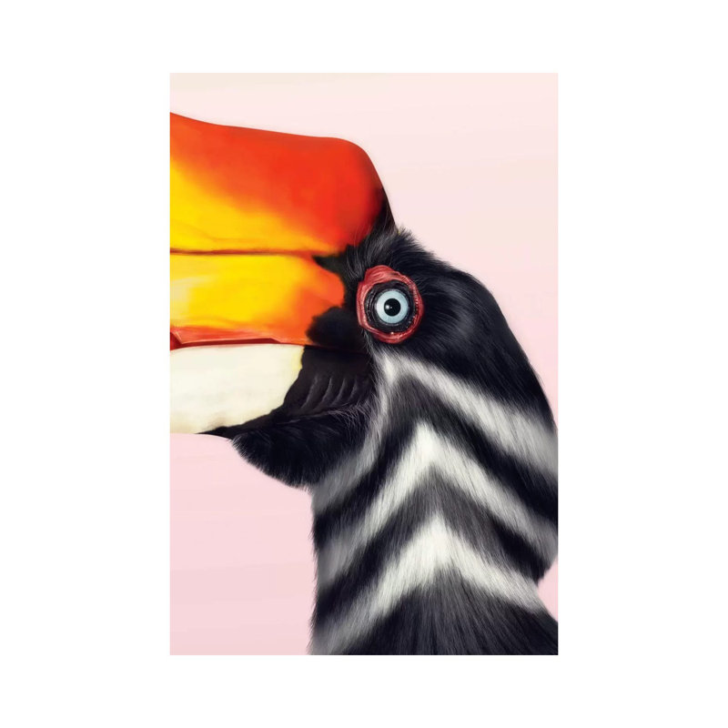 Rhinoceros Hornbill by Giulio Rossi - Wrapped Canvas Print, 20.32 cm H x 30.48 cm W
