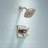 Ashlyn 17 Series Dual-Function Valve Trim Kit, Brushed Nickel 2 Handle Set for Shower Faucet System, Stainless (Valve Not Included)-14622183