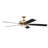 60'' Ceiling Fan with LED Lights-1494153695