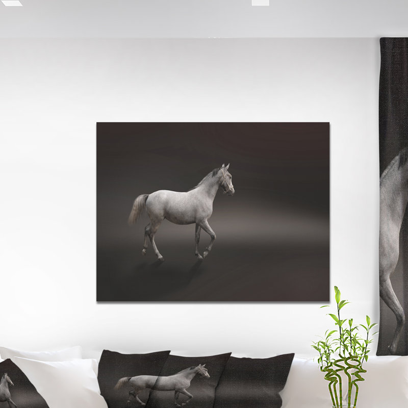 «Gray Horse», impression, H 20 po x l 20 po x P 1 po, Toile tendue