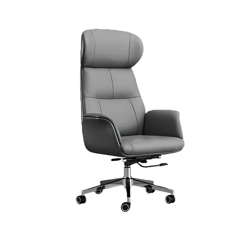 Sashka Task Chair with Headrest, Dark Gray