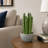 10.5 " H Faux Snake Plant Succulent in Plastic Pot