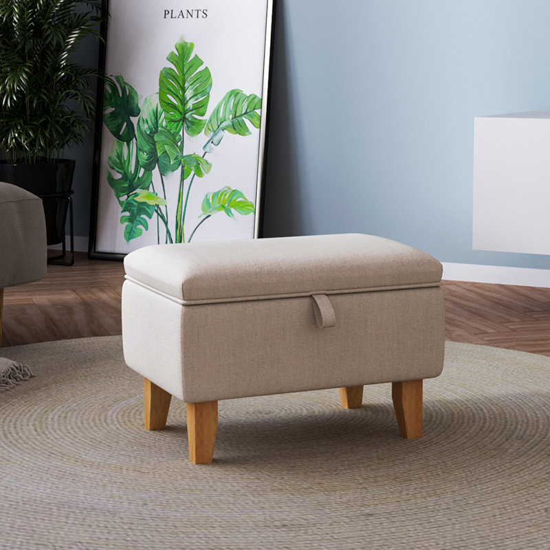 Artus 49cm Wide Rectangle No Pattern Ottoman with Storage, Cream
