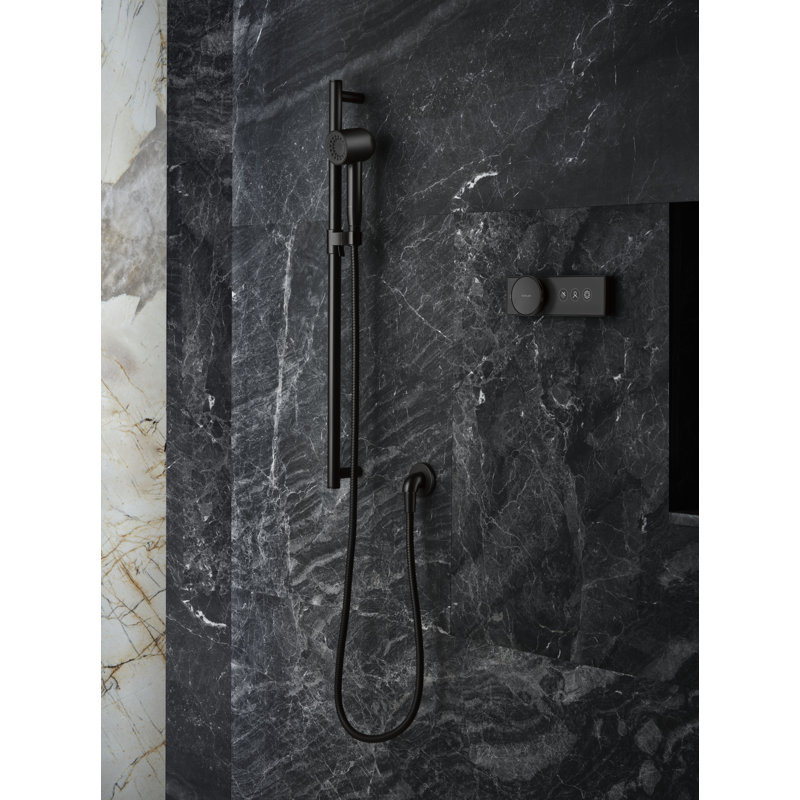 Statement 2.5 GPM Single-Function Iconic Handshower, Vibrant Titanium