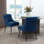 Chaise d'appoint Dinnington-1383402095