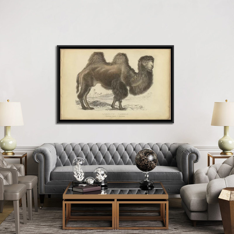 « mixte bactrian », reproduction sur toile, H 18 po x l 26 po x P 1,5 po, Toile encadrée noire, Pas de tapis