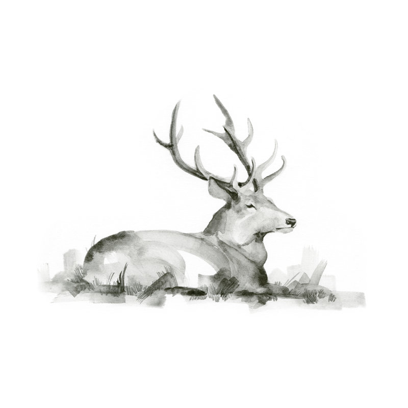 Reproduction d’art sur toile tendue, "stag Stag I" par Jacob Green, H 20 po x l 30 po